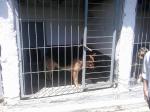 IMAG0717.jpg